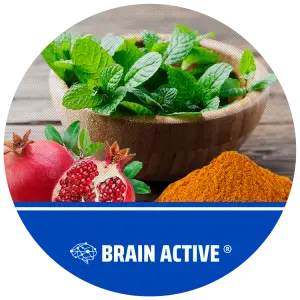 brain-active-300x300 CAFÉ MARITA 6.0